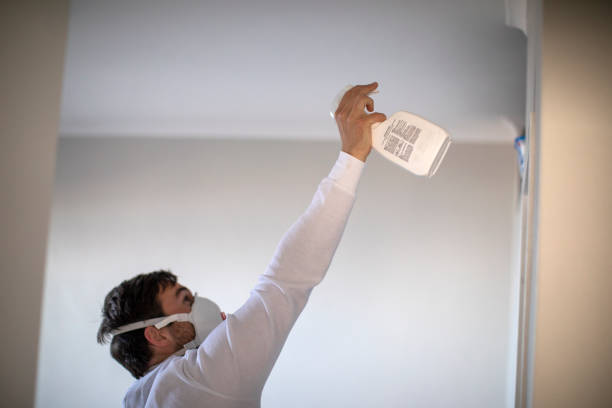 Best Mold Removal Near Me  in Aberdeen, NC