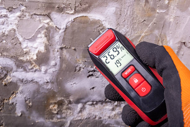 Best Best Mold Removal Companies  in Aberdeen, NC