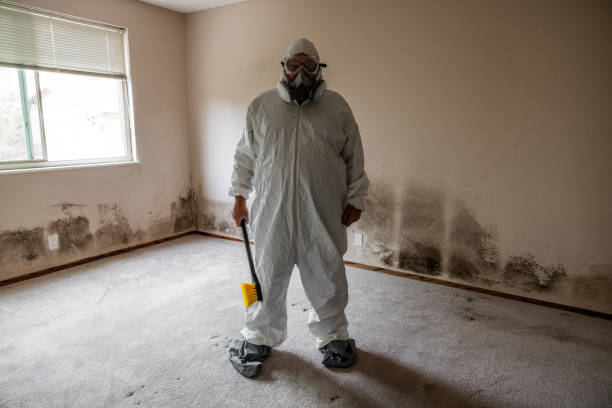 Trusted Aberdeen, NC Mold Removal Experts