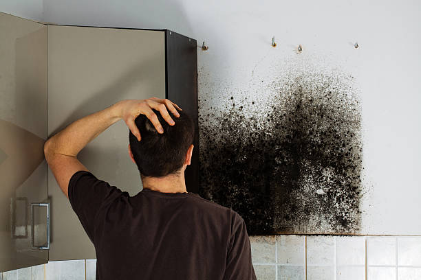 Best Office Mold Removal Services  in Aberdeen, NC